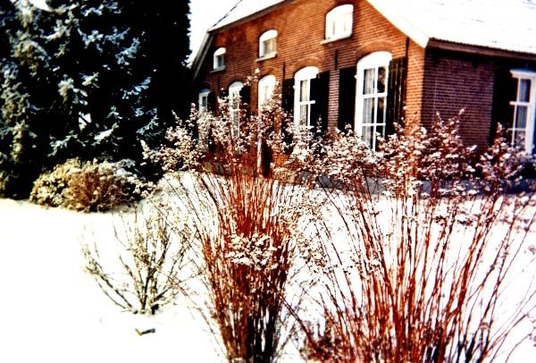 2010 Winterfoto. Fam. Groot Roessink
